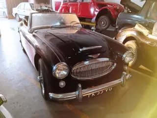 Austin Healey 3000 — fotografia 1