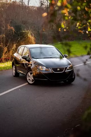 Seat Ibiza 1.2 TDi Reference E-Ecomotive — fotografia 1