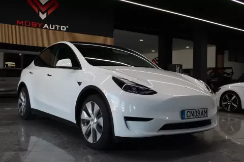 Tesla Model Y Standard