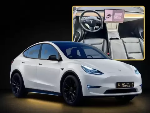 Tesla Model Y Performance Dual Motor AWD