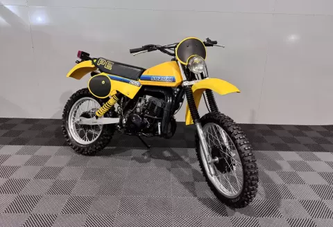 Suzuki X PE 250